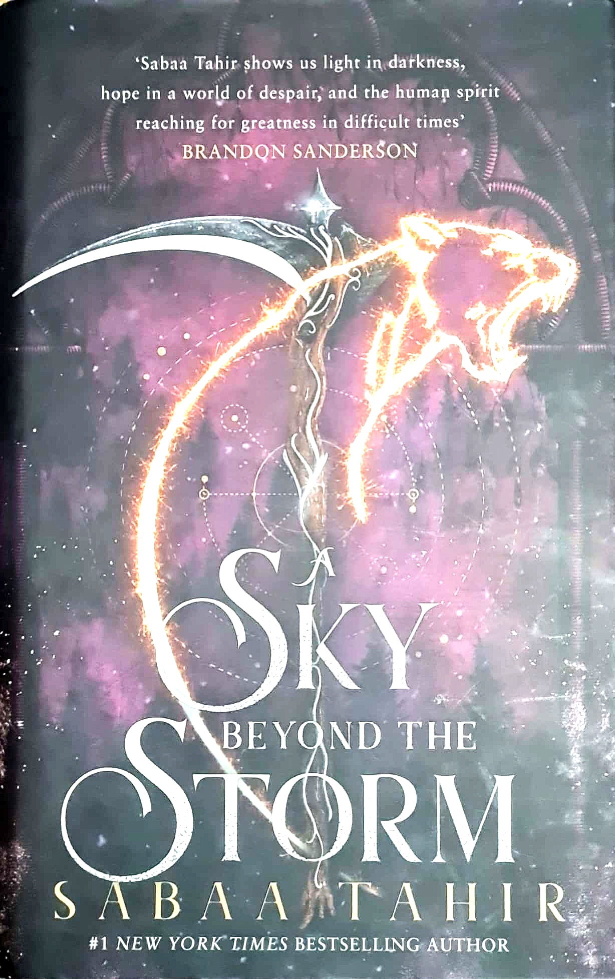 a sky beyond the storm (hardback)